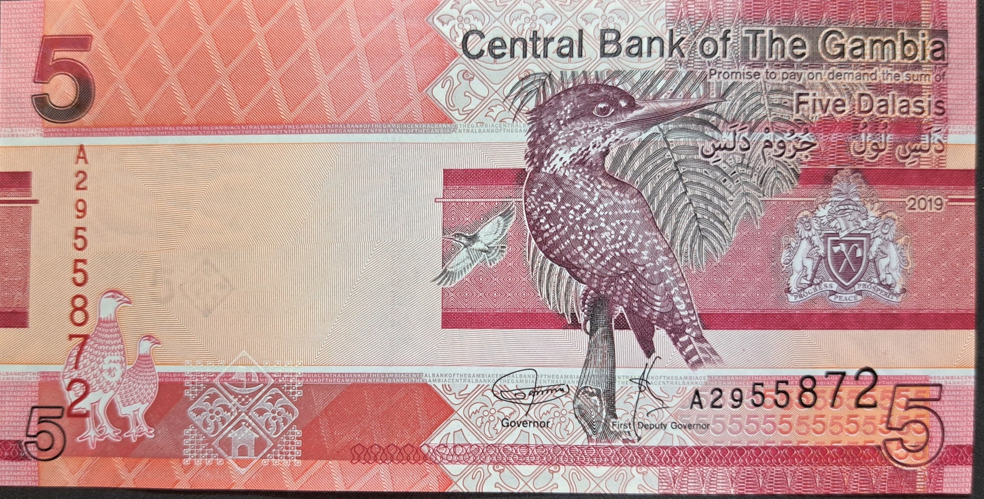 GAMBIA 5 Dalasis Banknote; B-235a, UNC; 2019; Featuring a Giant Kingfisher and Cattle