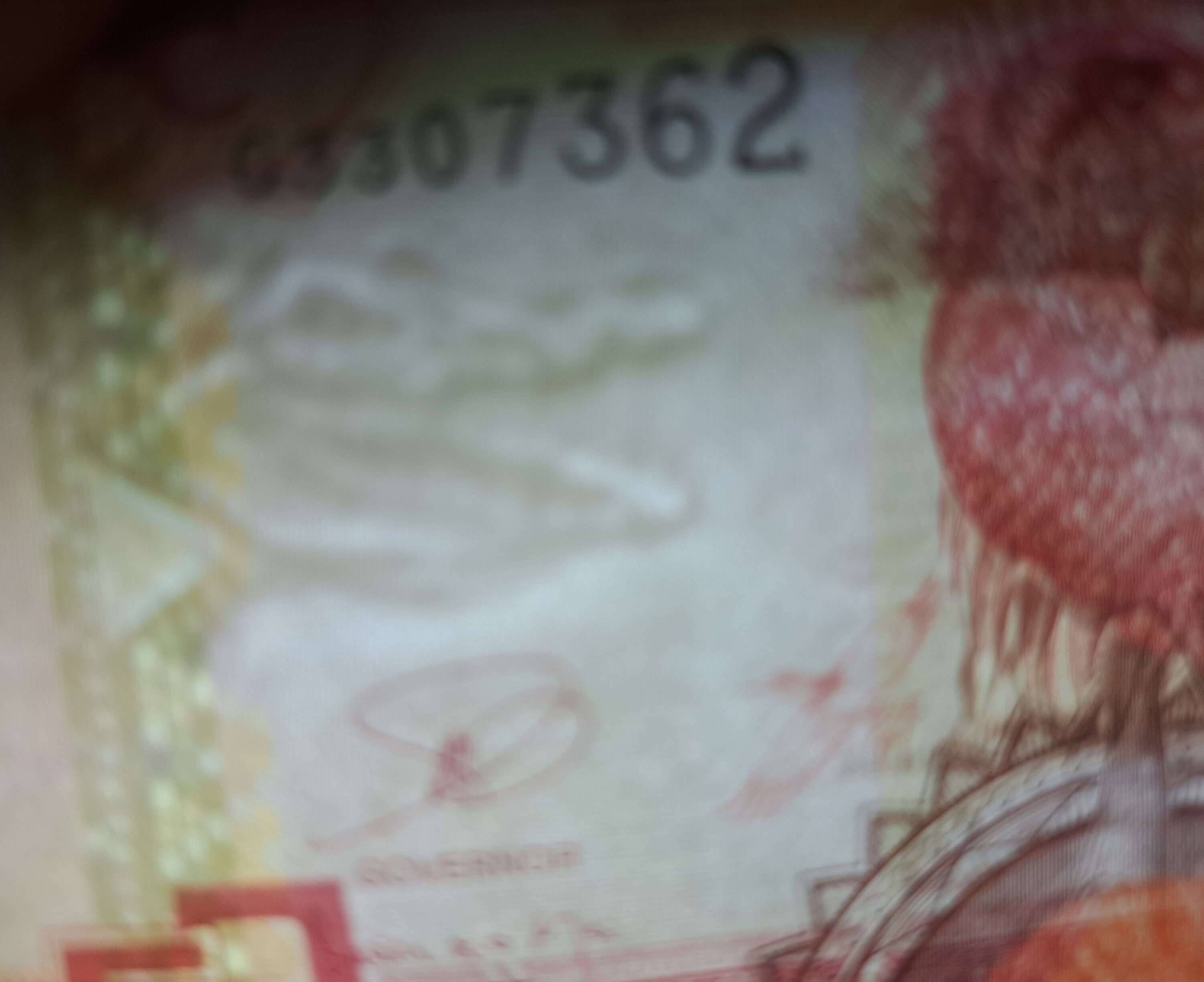 GAMBIA 5 Dalasis Banknote; P -25c from 2006, UNCIRCULATED; Featuring a Giant Kingfisher and Cattle