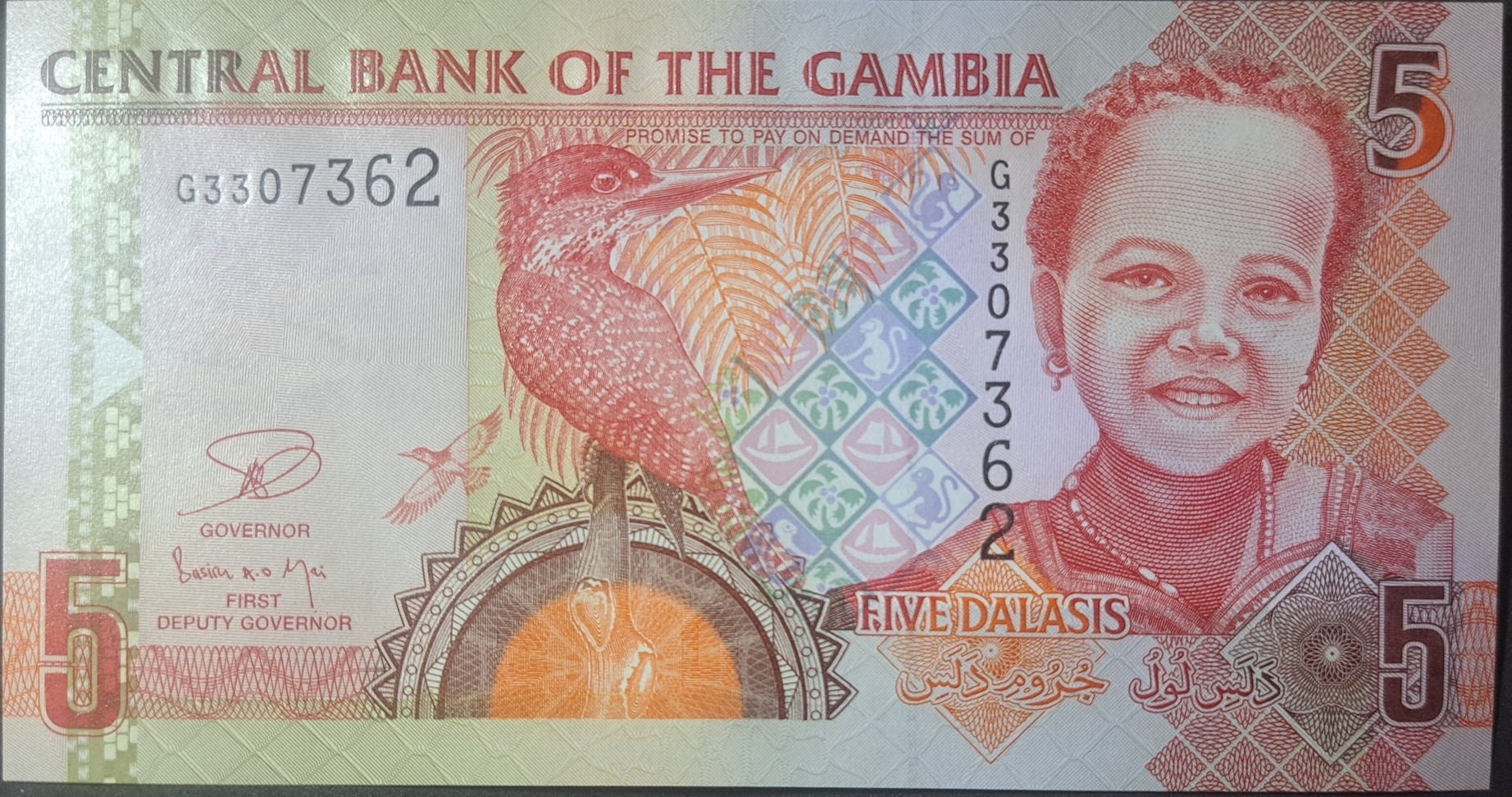 GAMBIA 5 Dalasis Banknote; P -25c from 2006, UNCIRCULATED; Featuring a Giant Kingfisher and Cattle