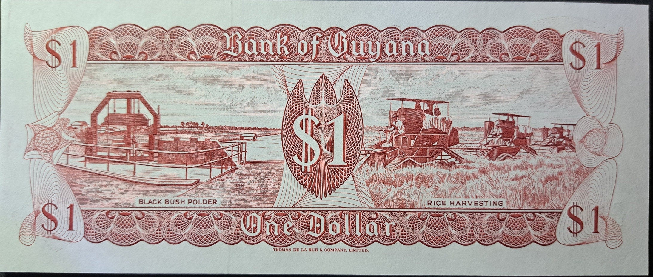 Guyana 1 Dollar, P-21g, Uncirculated, 1989; featuring the Kaieteur Waterfalls