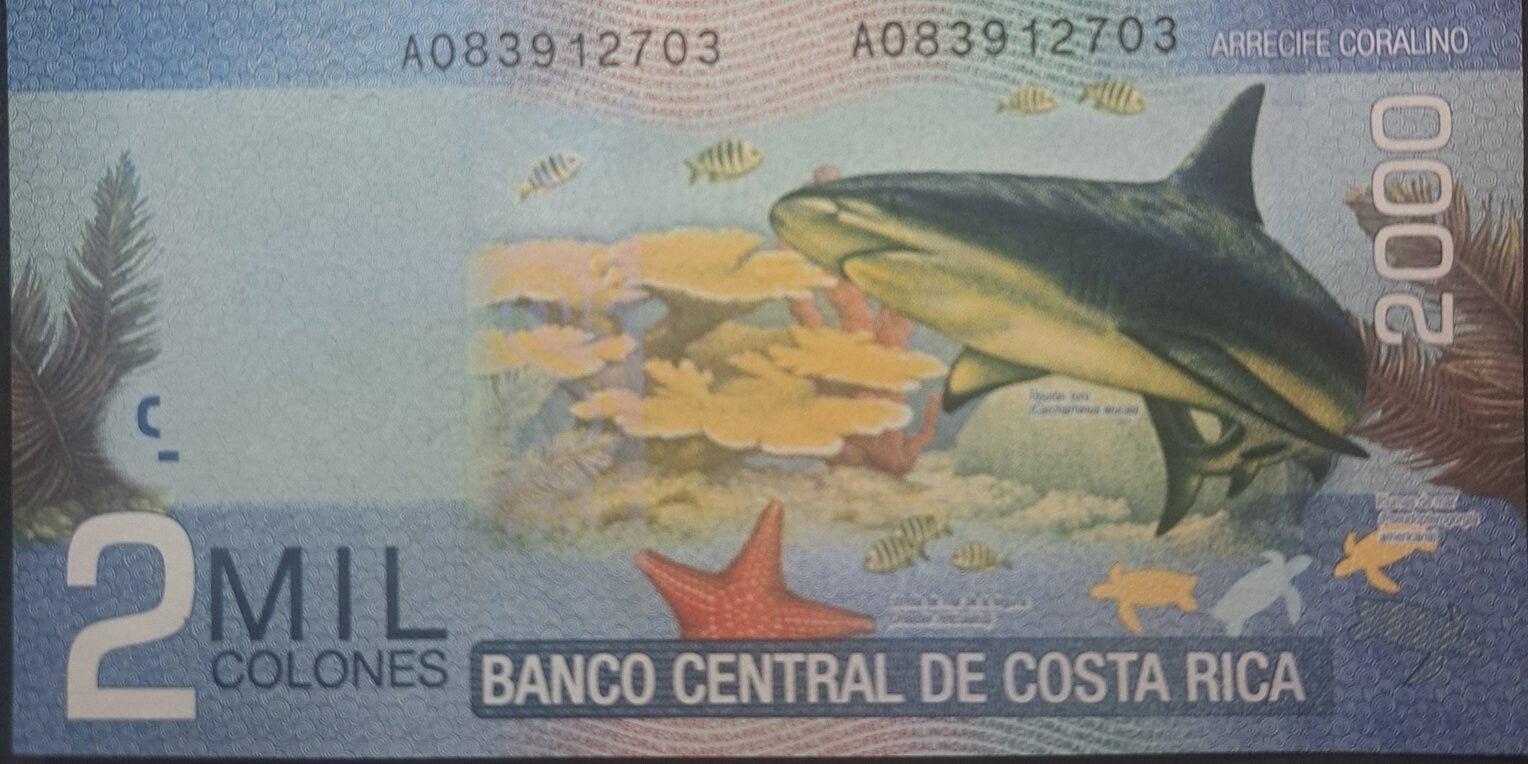 COSTA RICA 2000 Colones, P275c, UNCIRCULATED from 2015, features a Bull Shark