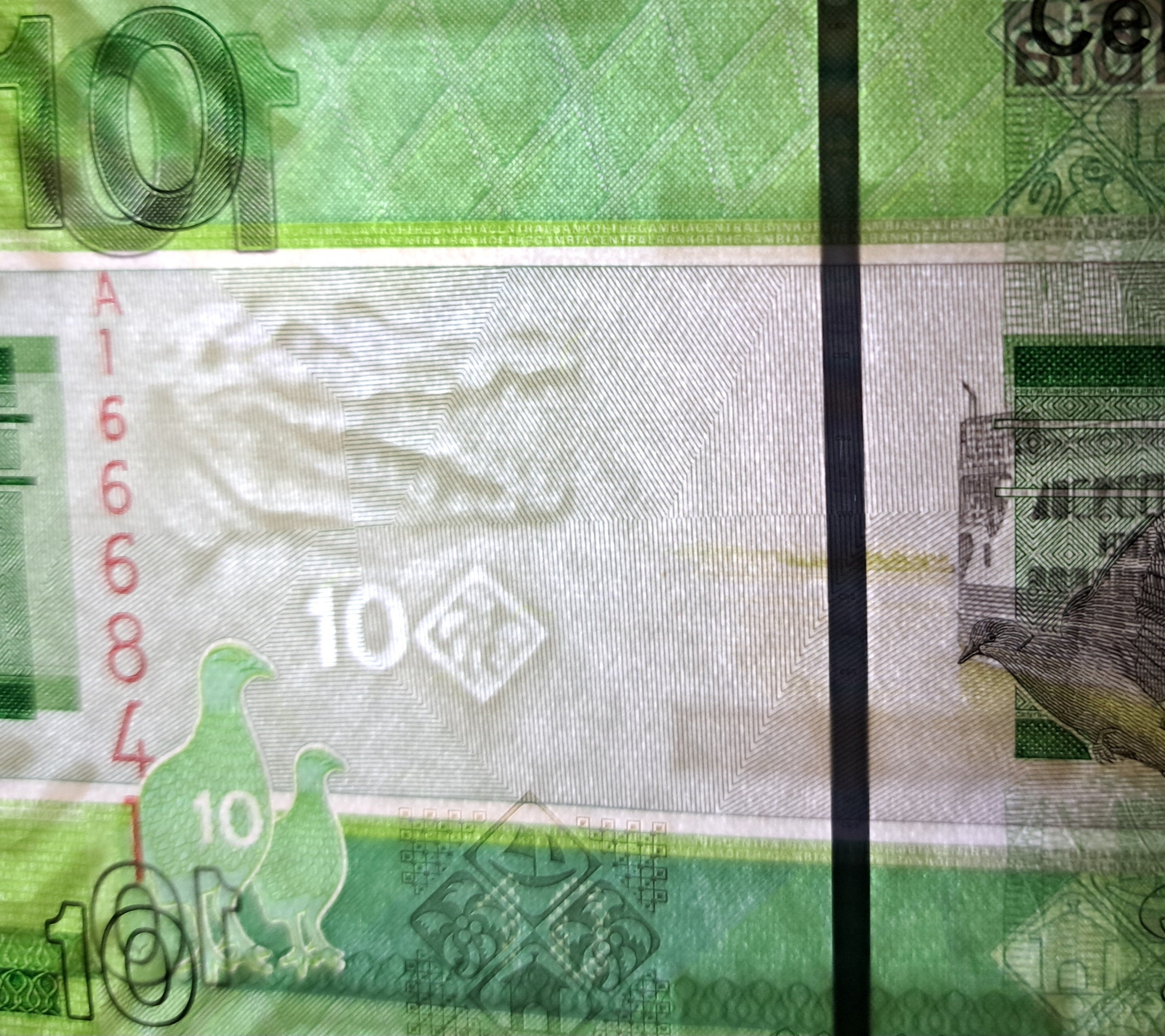 GAMBIA 10 Dalasis Banknote, P -38; 2019, UNC; PREFIX A; Featuring Standing Bush Fowl