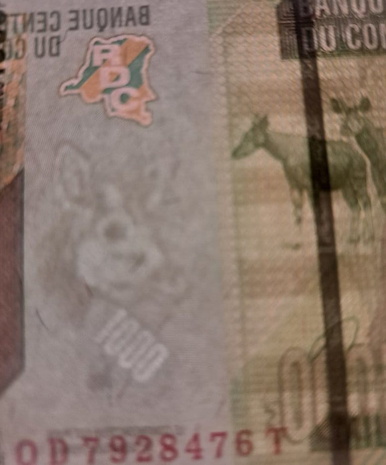 CONGO 1000 Francs, P101c, UNCIRCULATED from 2020, features a Parrot