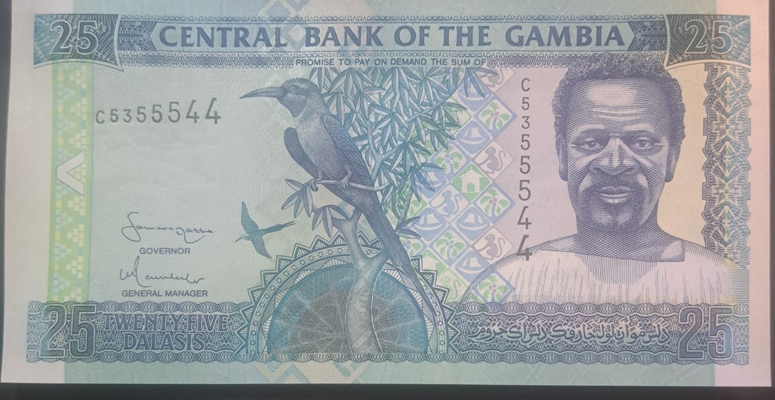 Gambia 25 Dalasis, P27a, UNCIRCULATED, 2006; features the Carmine Bee Eater