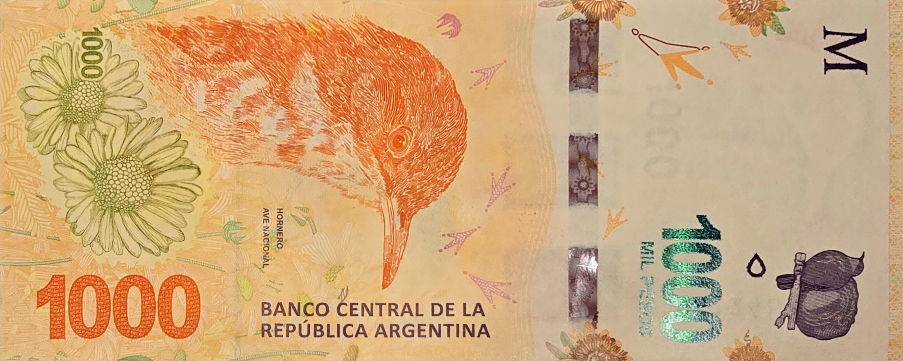 Argentina 1000 Pesos, B-422d, UNCIRCULATED, 2020; features the national bird