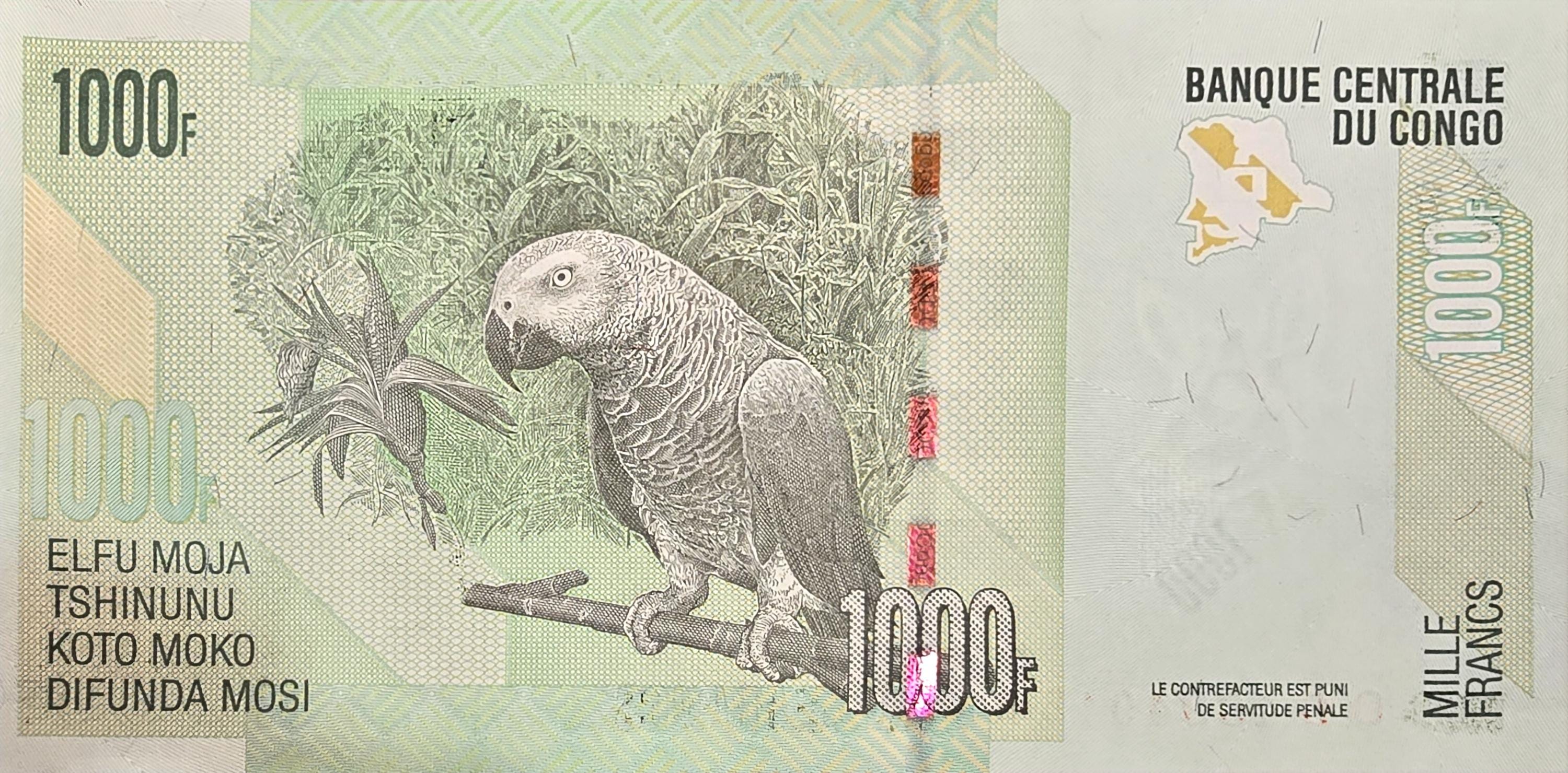 CONGO 1000 Francs, P101b, UNCIRCULATED, 2013; Features Two Okapi; Lizards and a PARROT