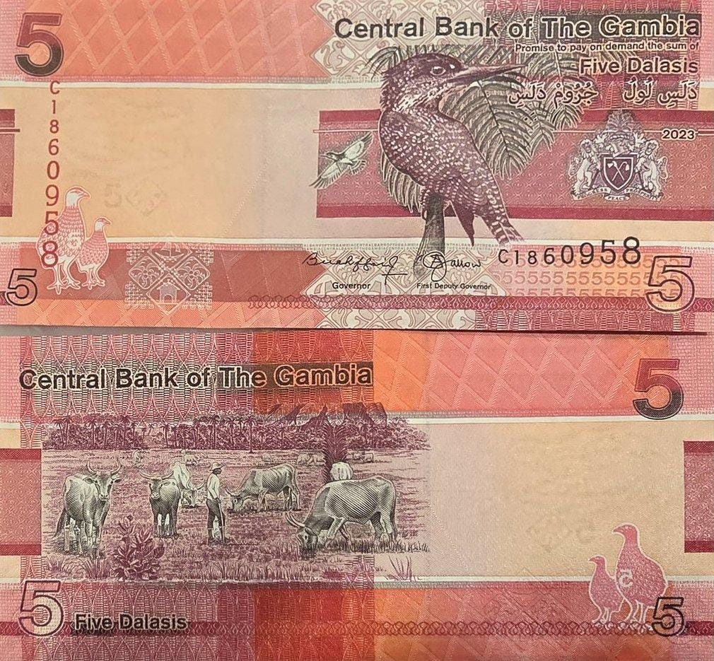 GAMBIA 5 Dalasis, B235c, UNCIRCULATED, 2023; Featuring a Giant Kingfisher and Cattle