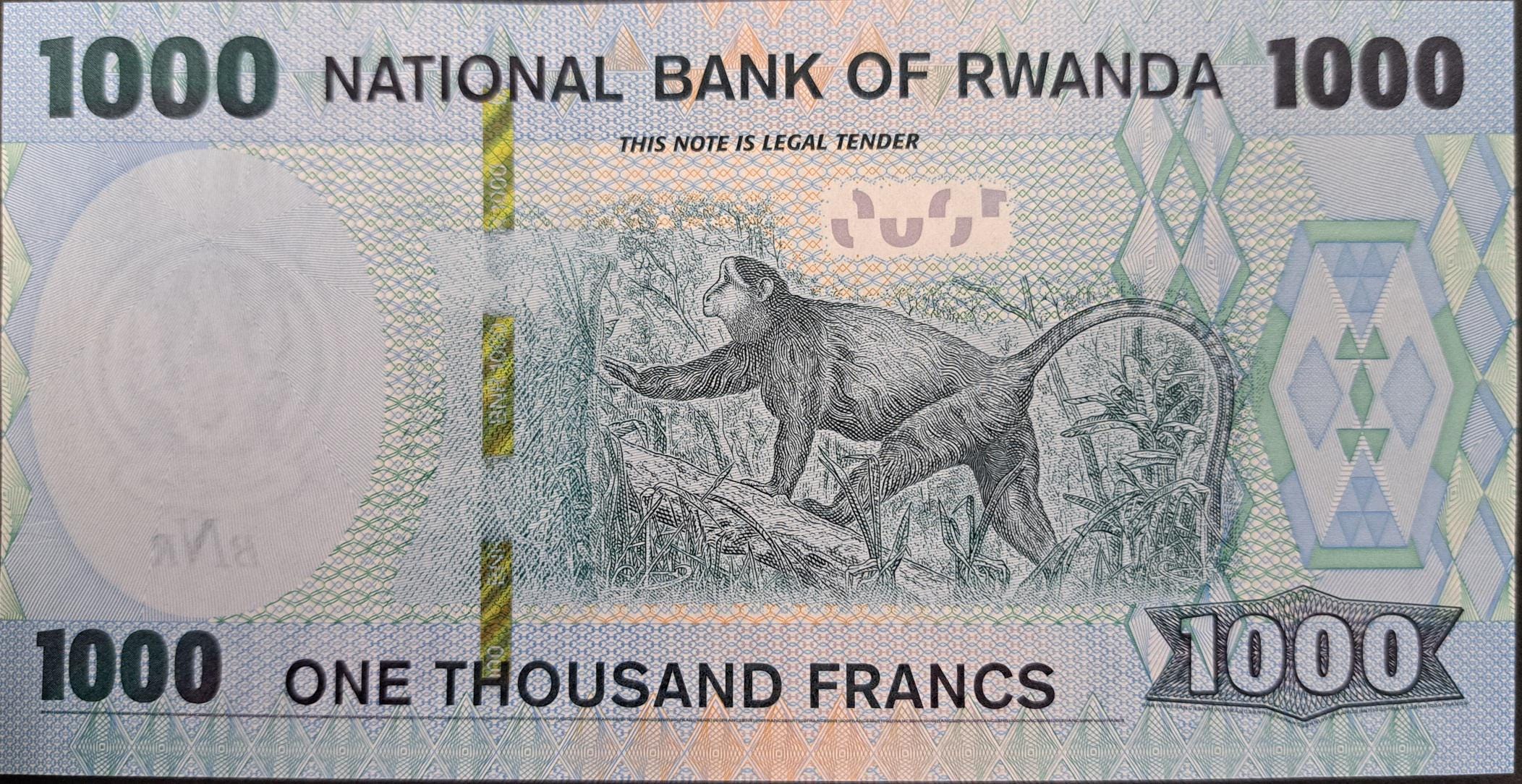Rwanda 1000 Francs, P - 39b, UNCIRCULATED from 2019,  Featuring a Monkey