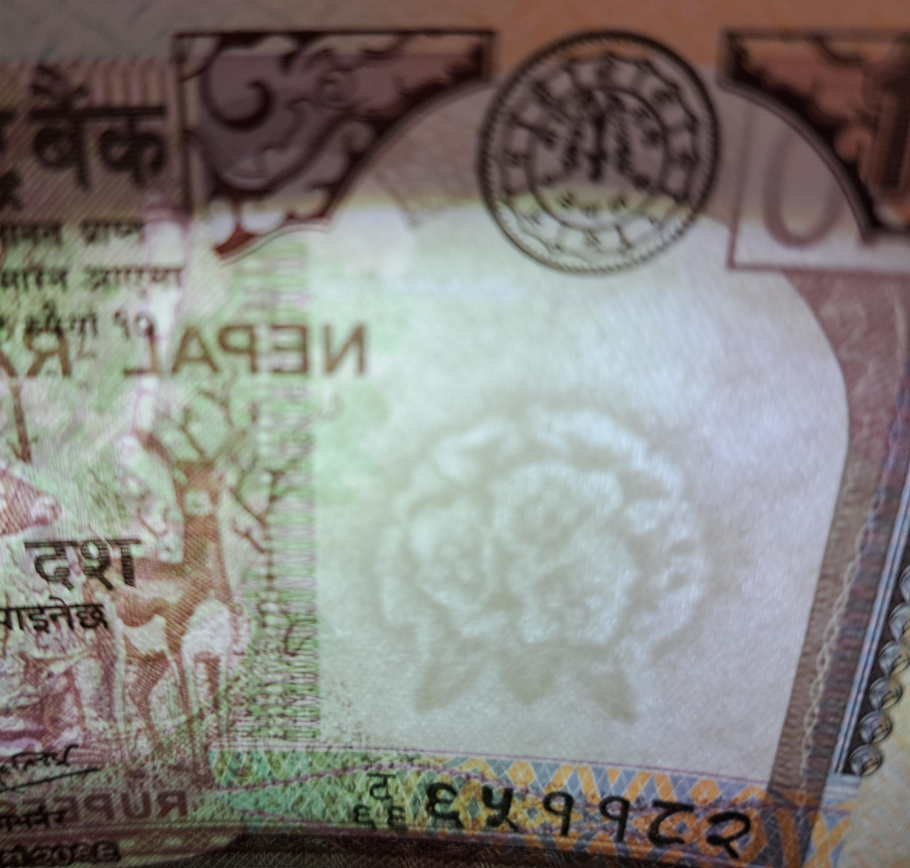NEPAL 10 Rupees Banknote, P-70, UNCIRCULATED from 2012; features a Swamp Deer; Mount Everest