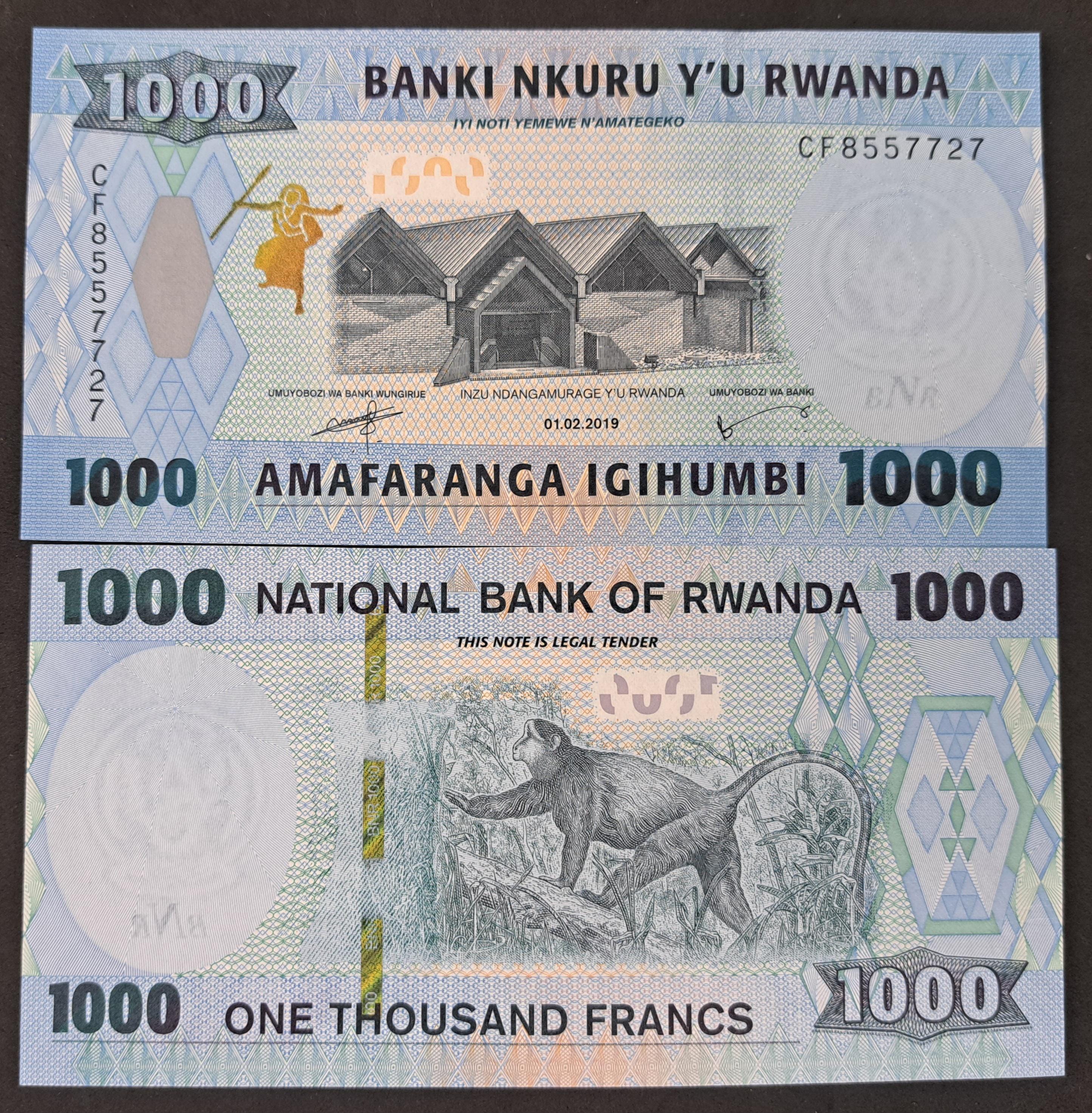 Rwanda 1000 Francs, P - 39b, UNCIRCULATED from 2019,  Featuring a Monkey