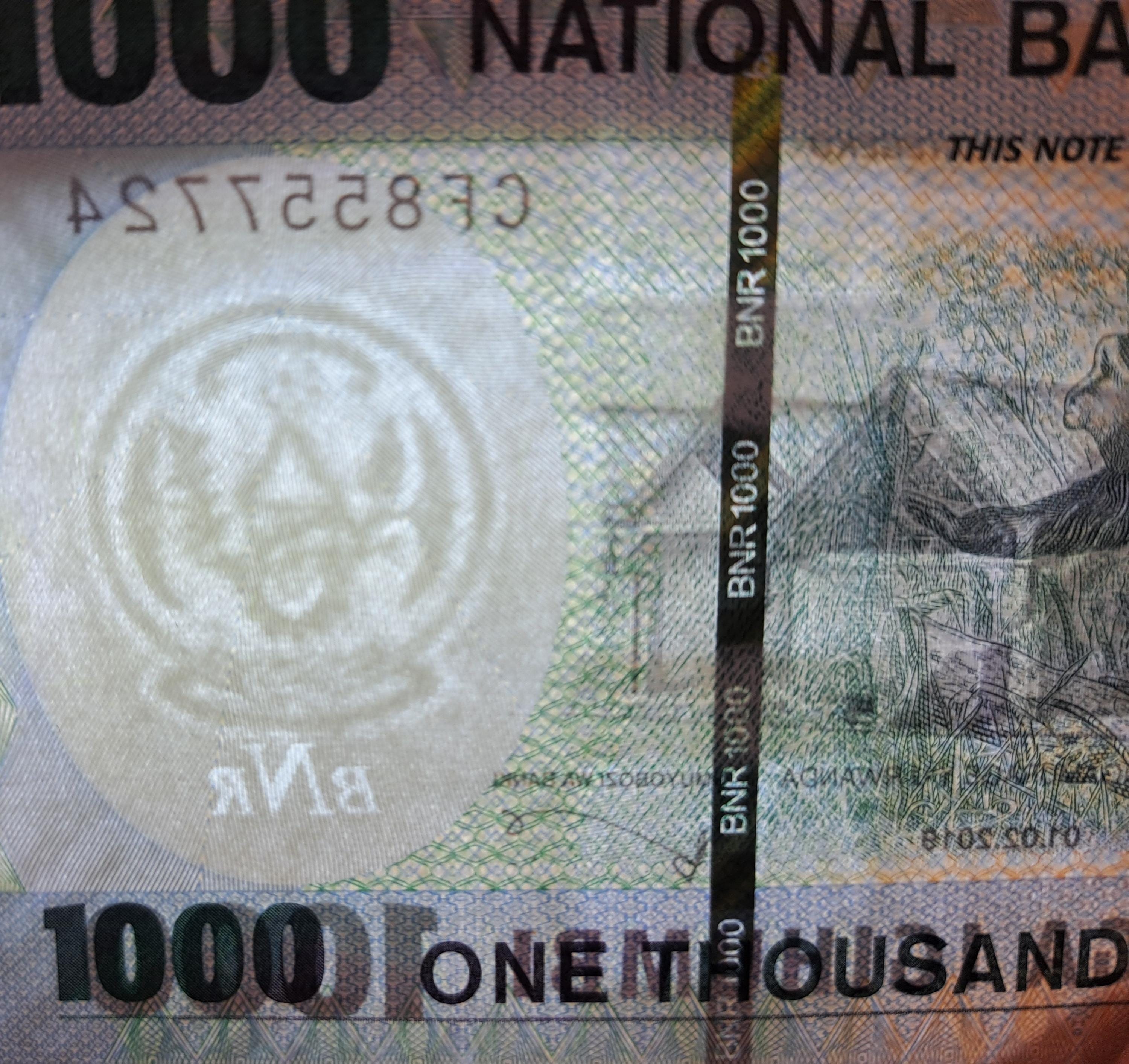 Rwanda 1000 Francs, P - 39b, UNCIRCULATED from 2019,  Featuring a Monkey