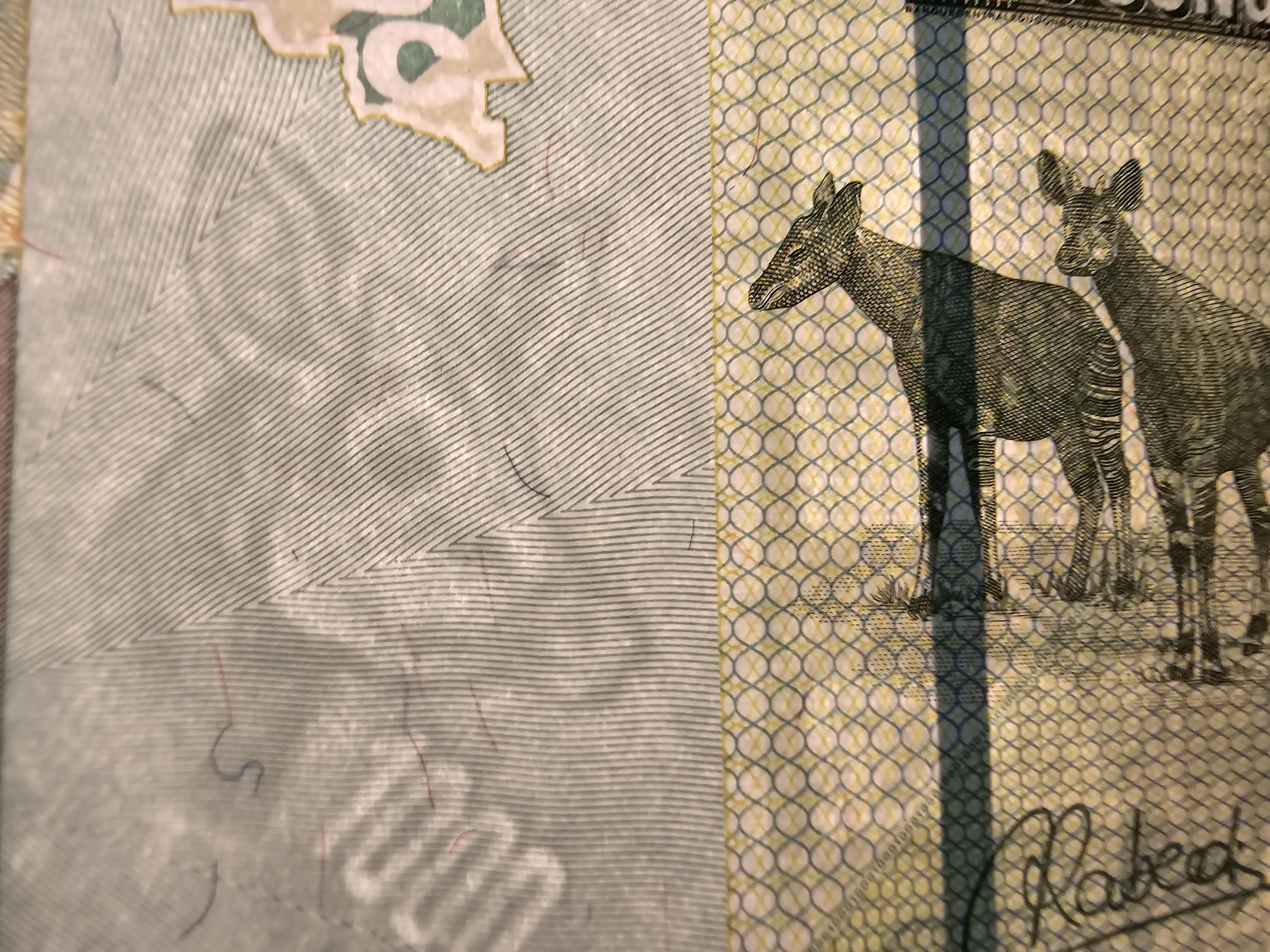 CONGO 1000 Francs, B-323d, UNCIRCULATED, 2022; Features Two Okapi; Lizards and a PARROT