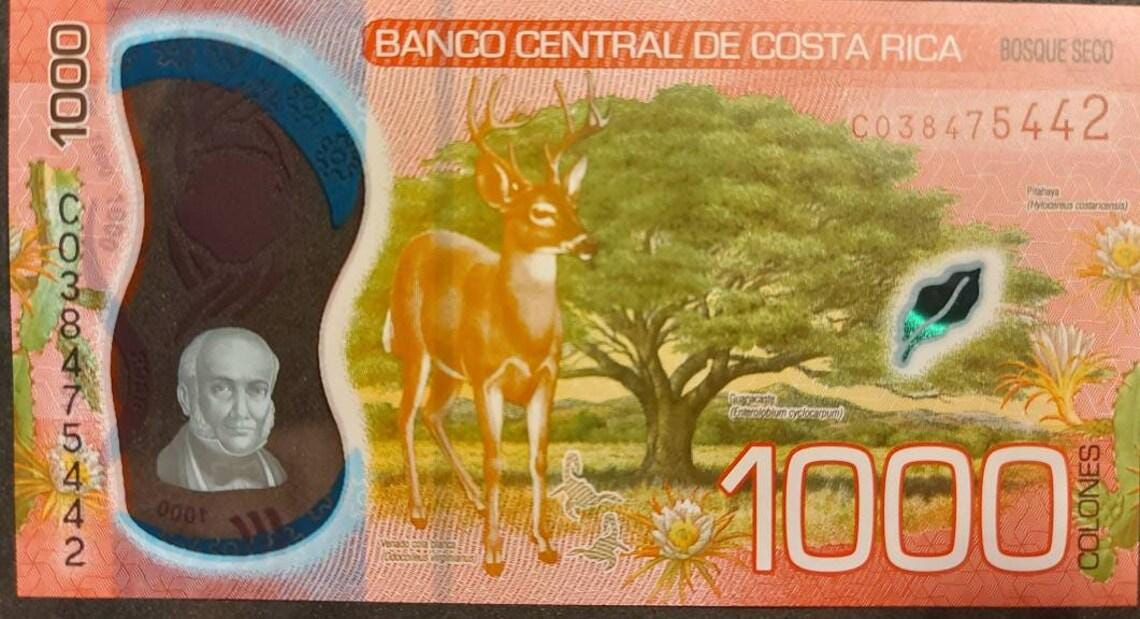 Costa Rica 1000 Colones; B-564a; 2019; Polymer, UNCIRCULATED
