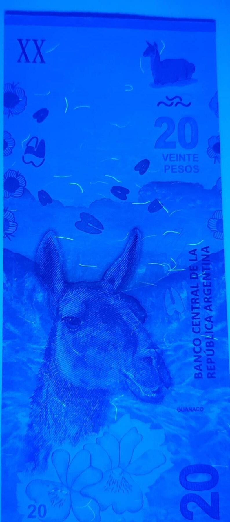 Argentina 20 Pesos, P-361, UNCIRCULATED, 2017; Patagonia Lake scene; Camel