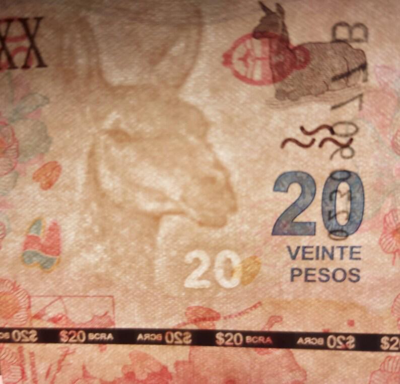 Argentina 20 Pesos, P-361, UNCIRCULATED, 2017; Patagonia Lake scene; Camel