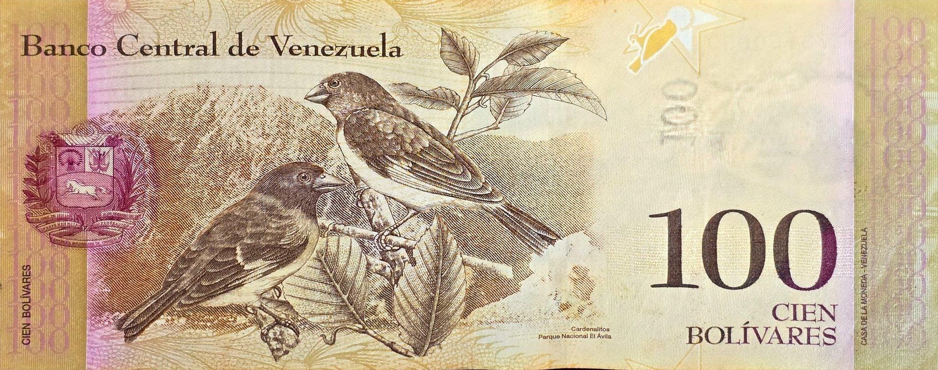 Venezuela 100 Bolivares Banknote, P-93i, CIRCULATED from 2015; features Simon Bolivar; 2 Birds