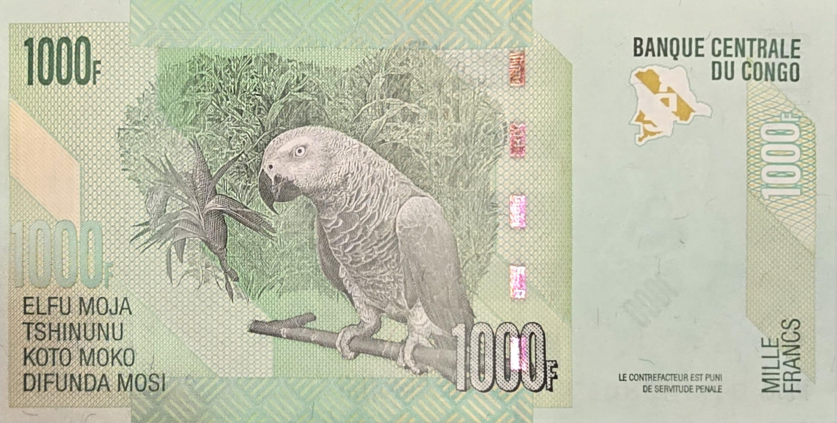 CONGO 1000 Francs, B-323d, UNCIRCULATED, 2022; Features Two Okapi; Lizards and a PARROT