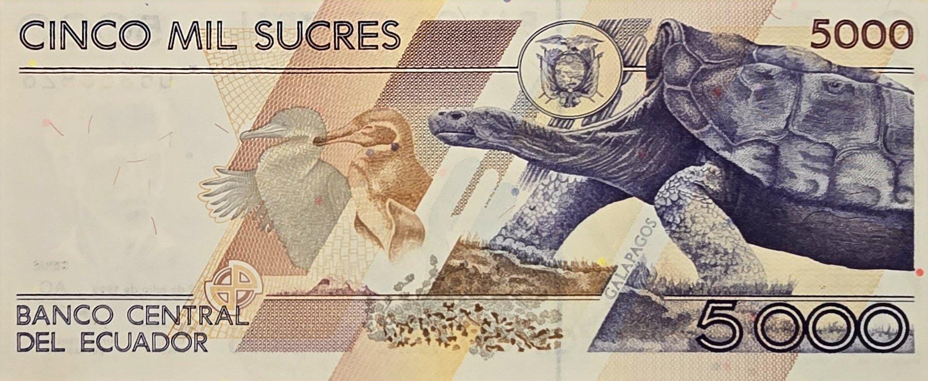 ECUADOR 5000 Sucres, P-126, UNCIRCULATED, 1999; Hard to Find - Penguin and Turtle