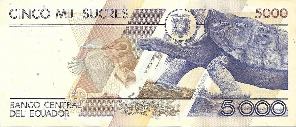 ECUADOR 5000 Sucres Banknote; P- 128c, UNCIRCULATED from 1999; features a Penguin and Turtle