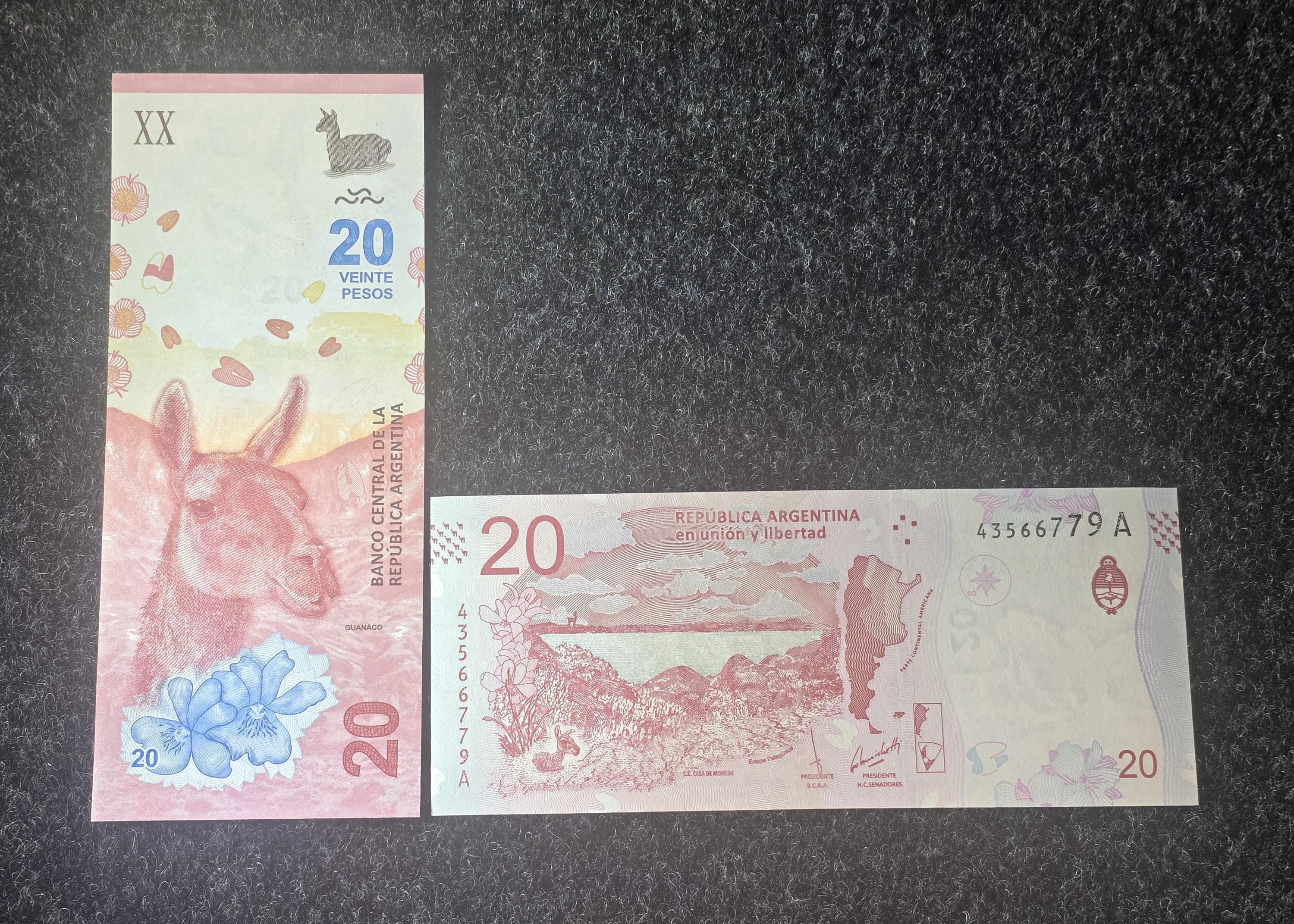 Argentina 20 Pesos, P-361, UNCIRCULATED, 2017; Patagonia Lake scene; Camel