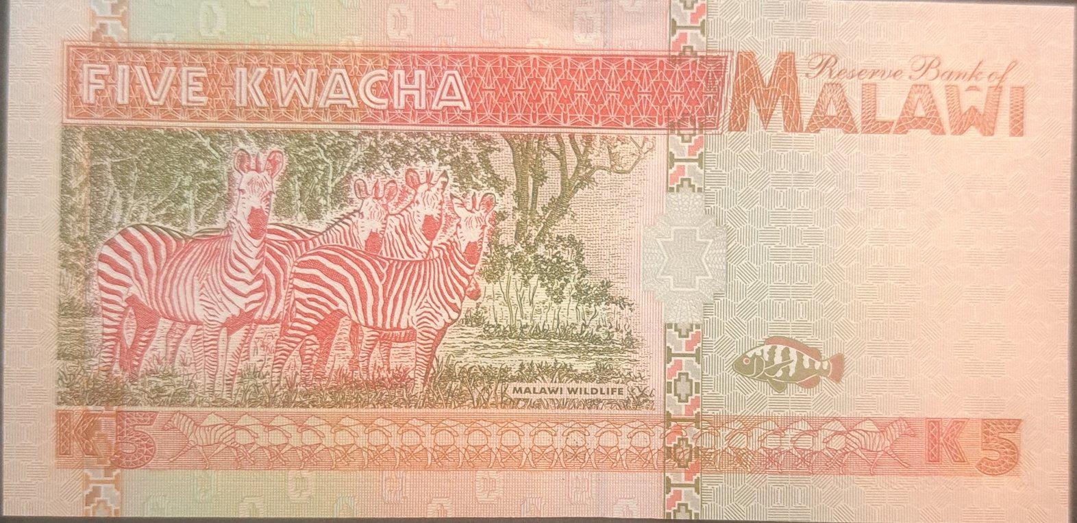 MALAWI 5 Kwacha, P-30; UNCIRCULATED, 1995; features Zebras