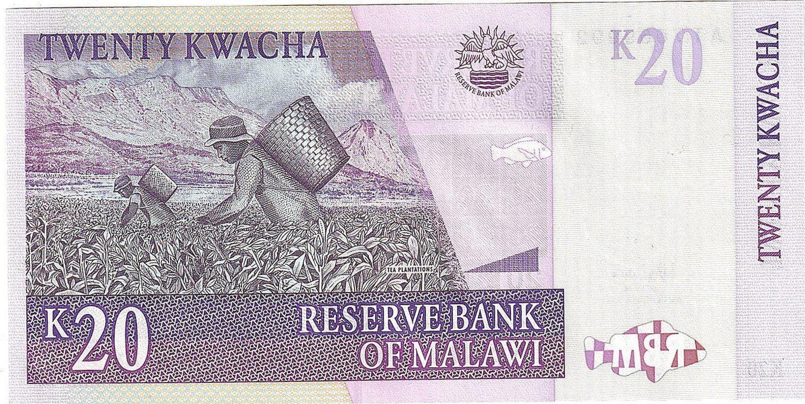 MALAWI 20 Kwacha, P-52b, UNCIRCULATED, 2006, features FISH and Tea Plantation