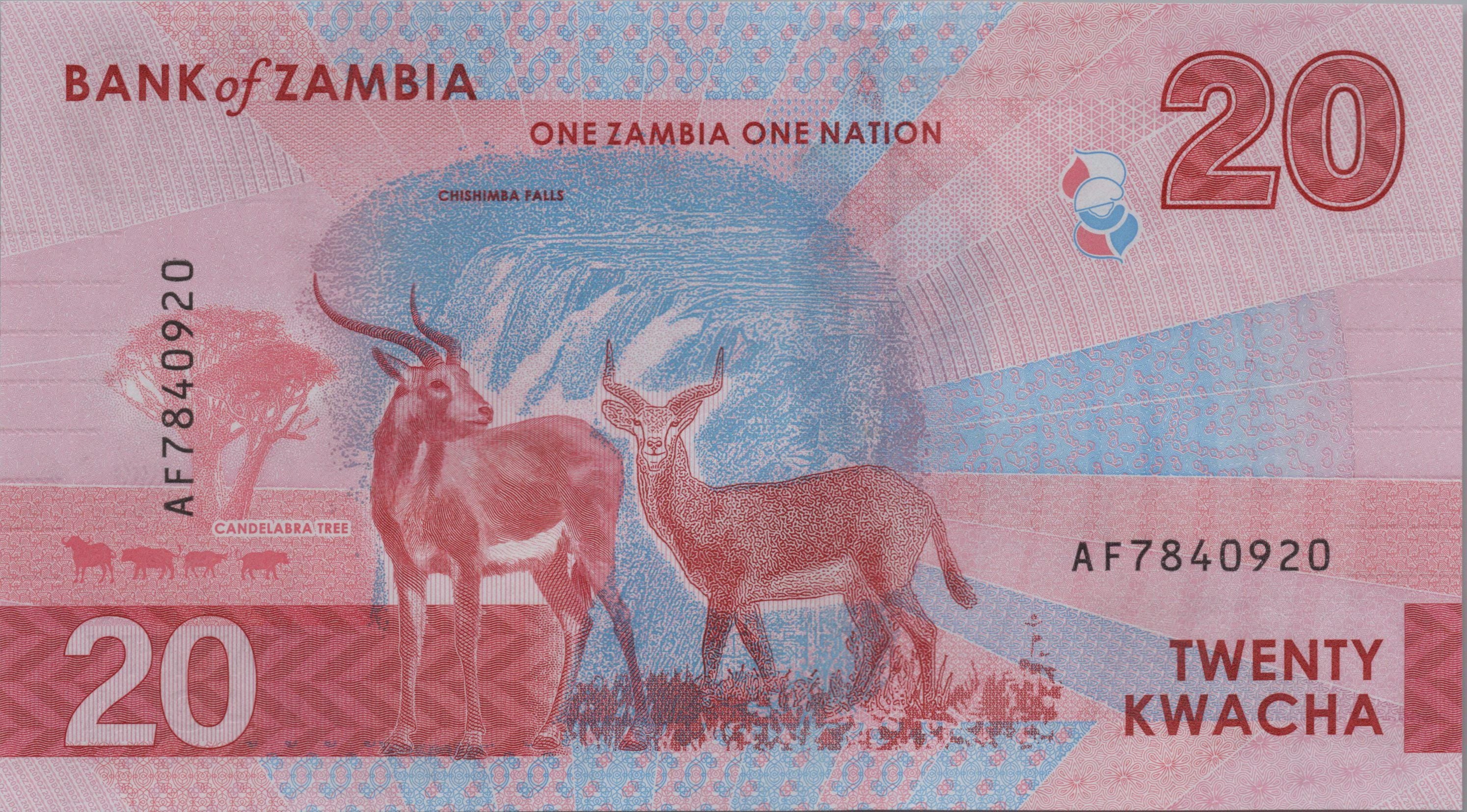 ZAMBIA 20 Kwacha, B172a, 2024, UNCIRCULATED; Features Water Buffalo