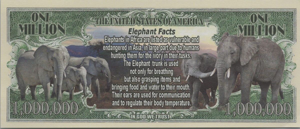 Elephants, Fantasy Million Note, Wildlife Series