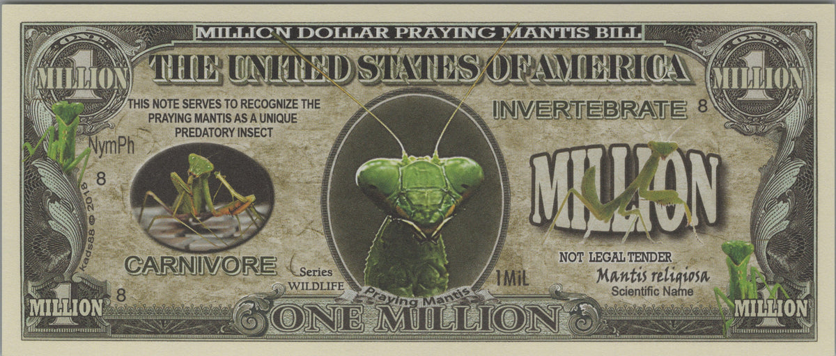 Praying Mantis, Fantasy Million Note, Wildlife Series